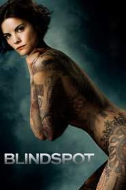 Watch Blindspot Online